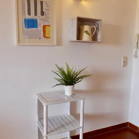 Branco Beliche