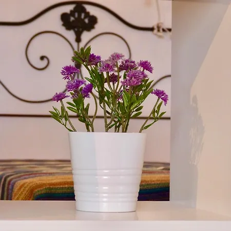 Branco Beliche Apartment *